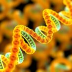 cutting-edge-molecular-dynamics-simulations-achieve-remarkable-precision-in-rna-folding-studies