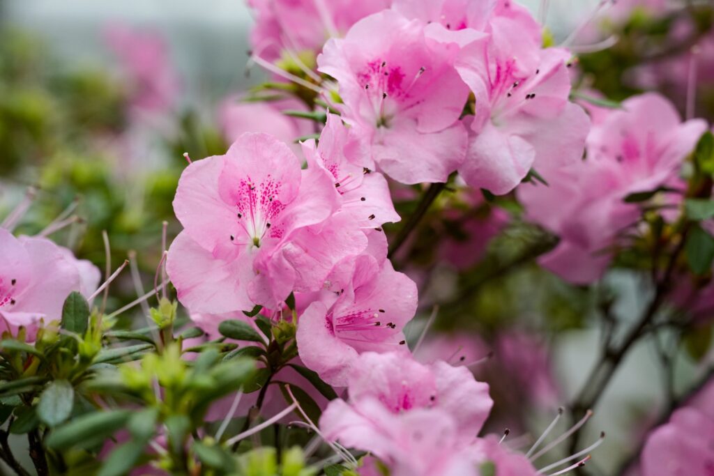 new-in-vivo-gene-editing-biotech-blossoms-from-crispr-pioneer-jennifer-doudna’s-lab-with-$82m