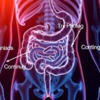 how-gut-microbes-protect-against-intestinal-injury