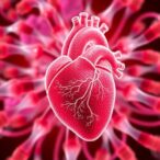 proteomics-reveals-pathways-in-early-coronary-disease