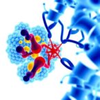 usc-study-reveals-key-genes-driving-aggressive-prostate-cancer-in-african-descent-populations