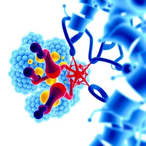 usc-study-reveals-key-genes-driving-aggressive-prostate-cancer-in-african-descent-populations