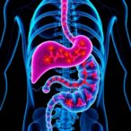 breaking-new-ground-in-treating-resistant-pancreatic-cancer-with-long-term-starvation-therapy