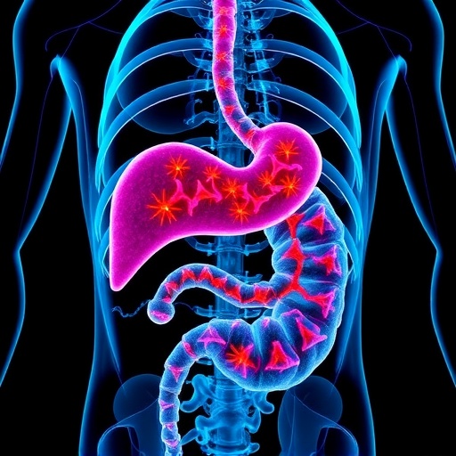 breaking-new-ground-in-treating-resistant-pancreatic-cancer-with-long-term-starvation-therapy