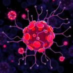 lysosomes-and-lunapark-shape-secretome-translation