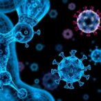 [6]-shogaol-inhibits-3clpro-and-sars-cov-2-infection