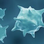 macrophage-blocking-antibodies-help-overcome-breast-cancer-endocrine-resistance