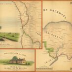 historic-maps-uncover-99%-decline-of-south-downs-meadows-in-new-study