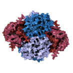 purine-synthesis-controlled-by-enzyme’s-structure,-not-catalysis