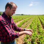 texas-tech-researchers-unveil-innovative-acceleration-method-for-crop-development
