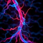 unraveling-μ-opioid-receptor-signaling-plasticity