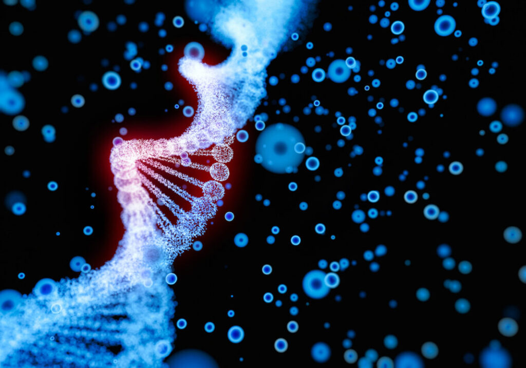 stabilizing-synthetic-gene-circuits-using-transcriptional-condensates