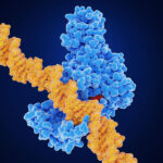 maternal-type-1-diabetes-provides-epigenetic-protective-effect-in-children