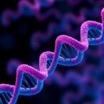 different-proteins-from-a-single-gene-play-unique-roles-in-health-and-rare-diseases