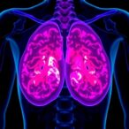 her2-targeted-radioimmunotherapy-yields-complete-and-lasting-remission-in-breast-cancer-model