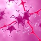 cancer-marker-found-to-play-key-role-in-wound-healing