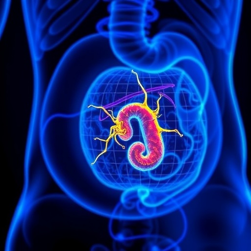 restoring-mtor-signaling-boosts-growth-restricted-placenta-cells