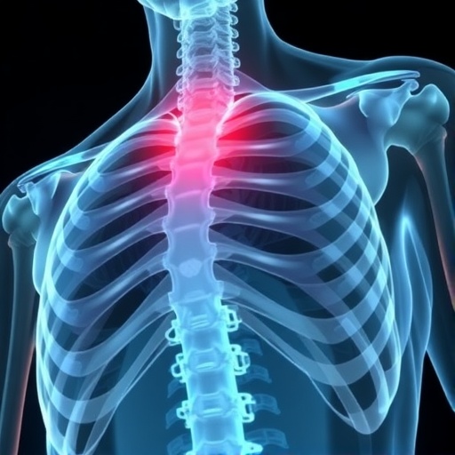 pregnane-x-receptor-prevents-male-bone-loss