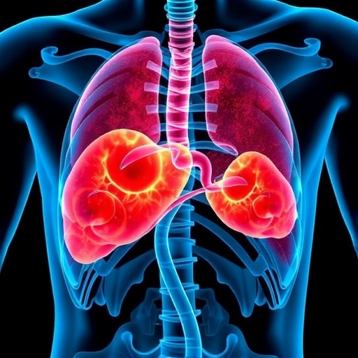 fatty-acid-metabolism’s-impact-on-myeloma-prognosis