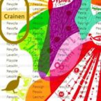 exploring-spanish-roma’s-genetic-diversity-and-structure