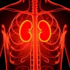 new-study-identifies-improved-strategy-for-timing-kidney-transplant-waitlisting