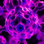 lactate:-key-to-tumor-metabolism-and-immune-evasion