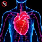 diabetes-and-heart-nerve-damage-raise-hypotension-risk