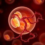 embryonic-heat-manipulation:-metabolic-programming-insights