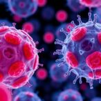 red-blood-cells-and-tumor-cells:-a-pro-metastatic-link?