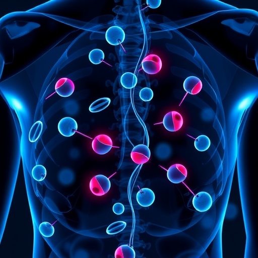 deregulation-of-nkx3.1-and-aurka-in-prostate-cancer