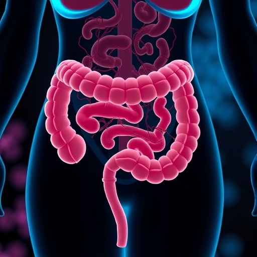 gut-microbiota-imbalance-in-polycystic-ovary-syndrome