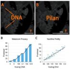 predicting-melanoma-recurrence-with-circulating-dna