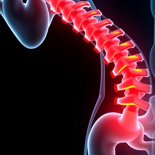mapk-phosphatase-1-gene-transfer-eases-inflammatory-bone-loss