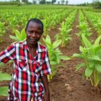 climate-change-threatens-pendjari-agrosystems-in-benin