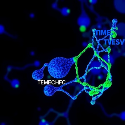 tmem88-controls-hcc-growth-via-gsk-3β-pathway