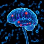 probiotics-boost-cognitive-function:-a-meta-analysis-review