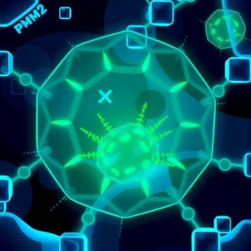 pkm2:-the-triple-threat-in-cell-function