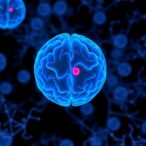 glucose-disposal-rate-linked-to-diabetes-risk