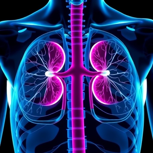 continuous-indices-reveal-kidney-transplant-rejection-spectrum