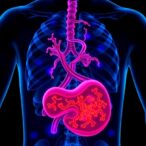 bcl2l12’s-oncogenic-role-in-hepatocellular-carcinoma-prognosis