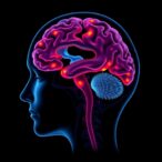 ai-enhanced-biopsy-decisions-in-diffuse-midline-glioma