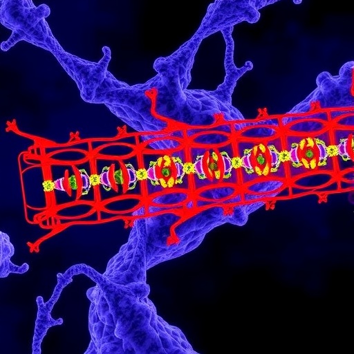 escrt-iii:-key-player-in-membrane-fission-and-repair