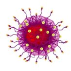 transposable-elements-shape-immune-cell-regulatory-landscapes