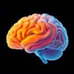 primary-sensory-cortex:-adaptive-and-flexible-functions