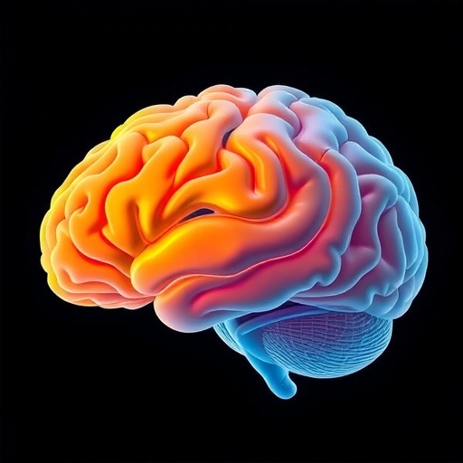 primary-sensory-cortex:-adaptive-and-flexible-functions