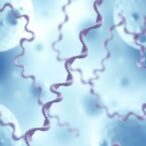 expanded-atxn2-repeats-linked-to-parkinson’s,-lewy-body