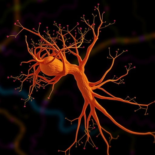 tubb-mutations-disrupt-ciliogenesis,-cause-ciliopathy-symptoms