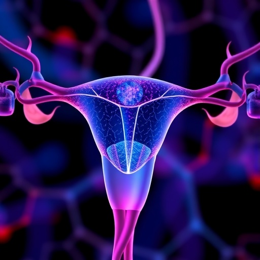 mapping-ovarian-aging:-biomarkers-and-therapeutic-insights