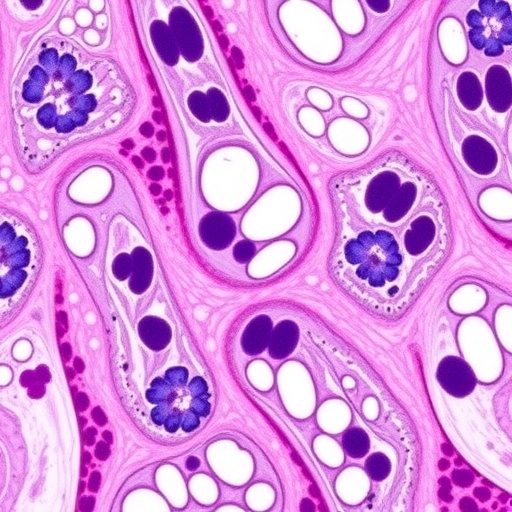 advances-and-challenges-in-ffpe-tissue-proteomics