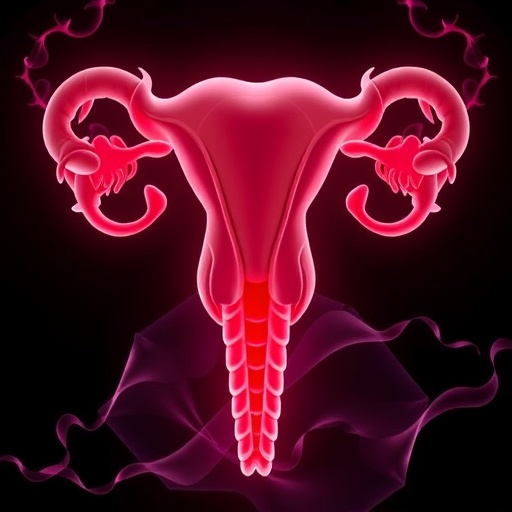 oviductus-ranae-combats-ovarian-aging-by-inhibiting-ferroptosis